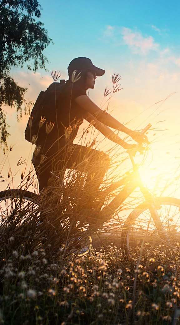 A person riding a bicycle in a field of flowers at sunset.