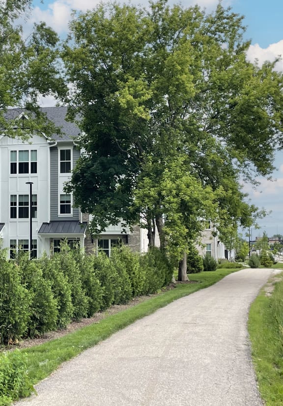a row of townhouses on a sidewalk in front of trees at Enclave Crystal Lake Townhomes and Apartments, Illinois