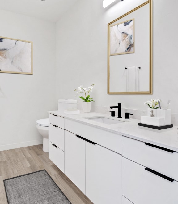 AP1 Lofts - Studio & 1 Bedroom Apartments For Rent in Downtown Salt Lake City, Utah