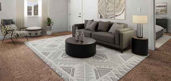 A living room with a grey couch, a coffee table, and a rug.