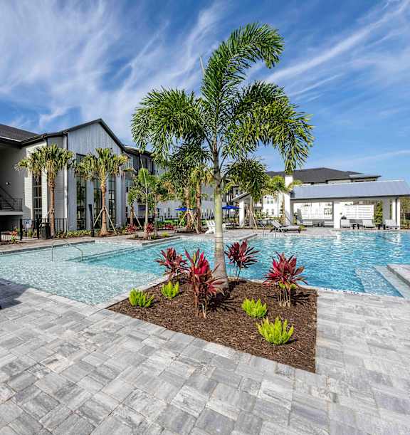A pool surrounded by palm trees and red plants.