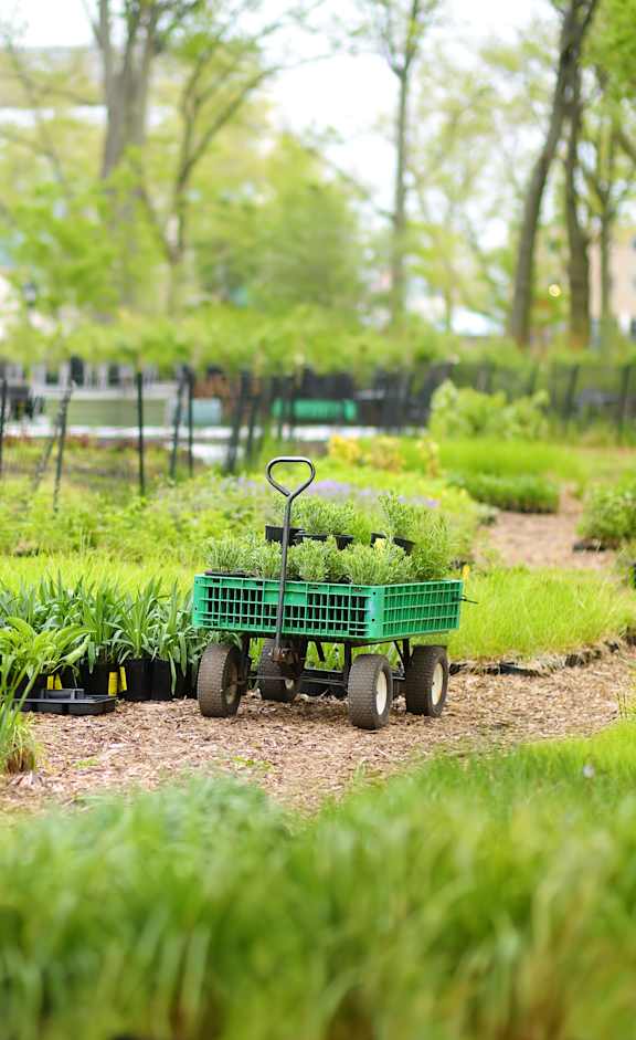A green wagon is in the middle of a garden. at The Grove Apartments, Orillia, ON, L3V 1H4