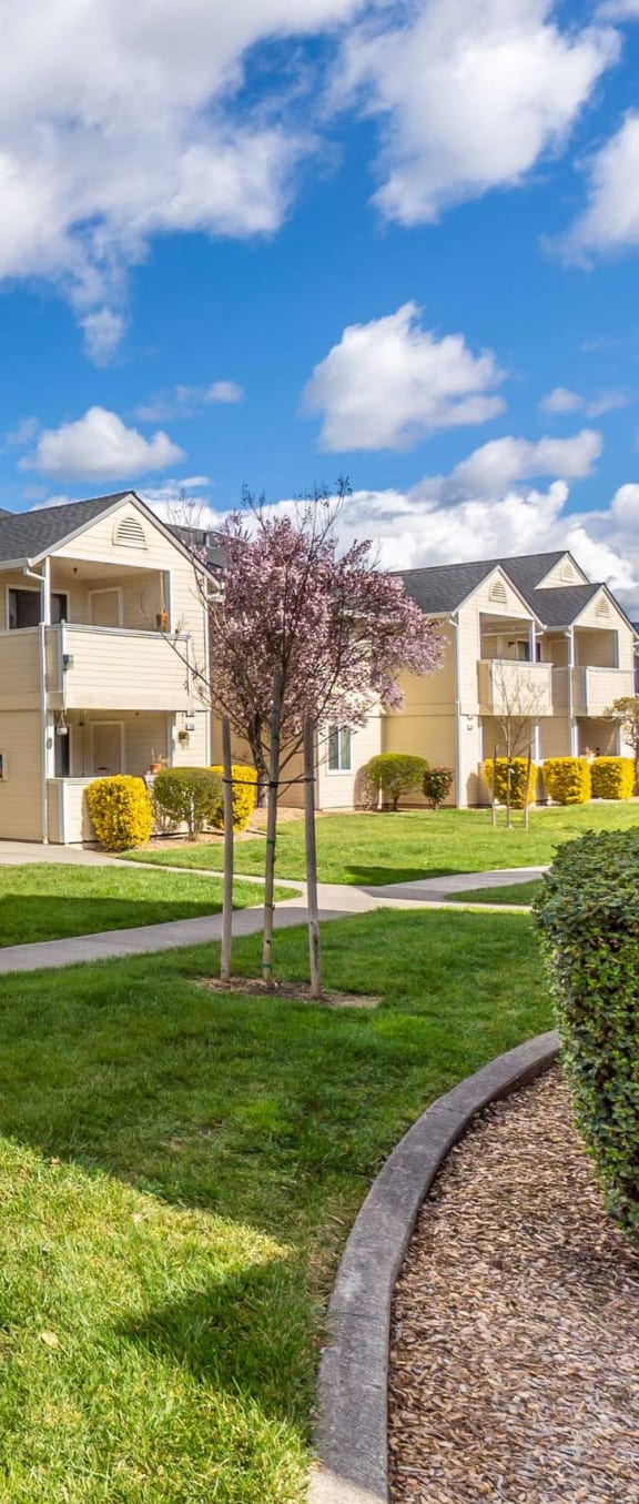 Green Lawn at Emerald Pointe, California, 94928