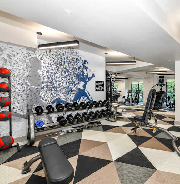 A gym with a variety of equipment including treadmills, stationary bikes, and weight machines.