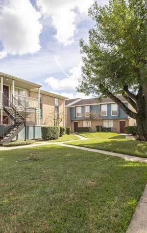 a grassy area with a tree in front of an apartment building