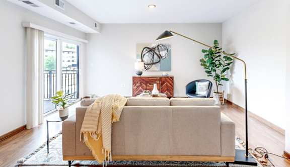 A living room with a couch, a plant, and a lamp.