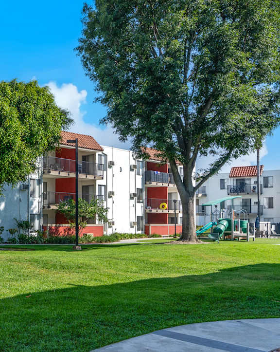 community walk way with green grass and trees