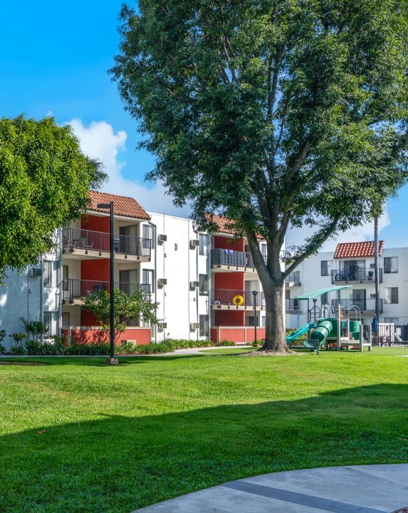 community walk way with green grass and trees