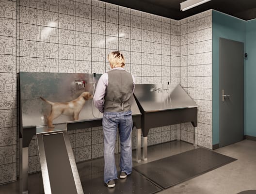 A man and a woman are standing in a room with a dog.