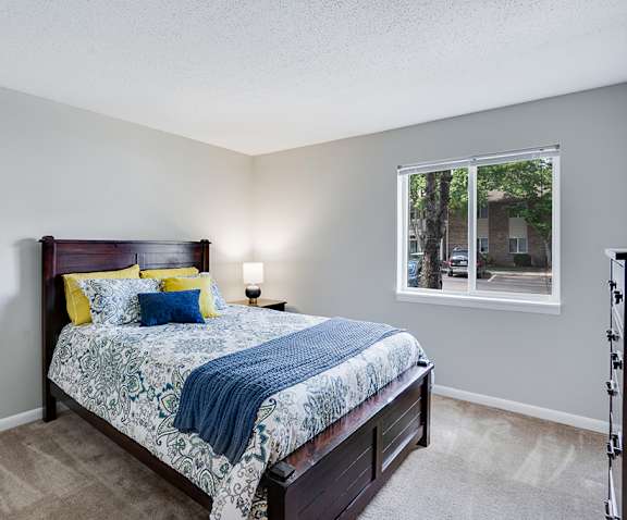 Spacious Bedroom with Double Windows and Plush Carpet