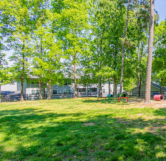 A grassy area with trees and a fence in the background. at West Pointe Apartments, Apartments, Burlington, NC