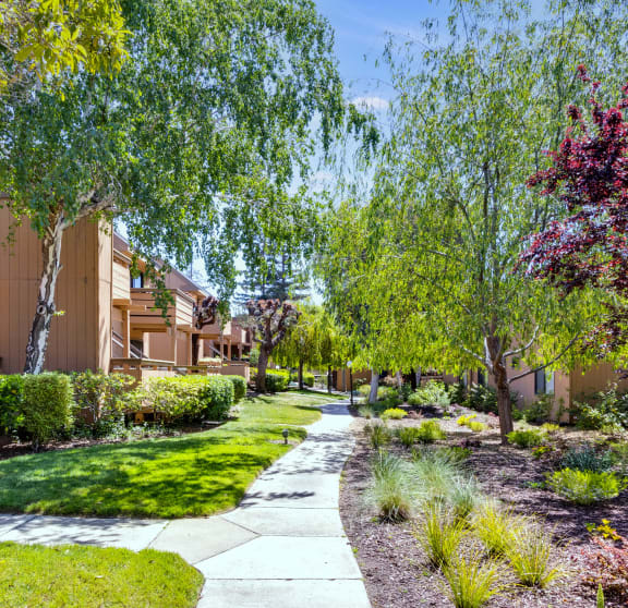 a sidewalk with trees and bushes on either side