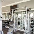 A gym with a variety of equipment including a squat rack, bench press, and a treadmill.
