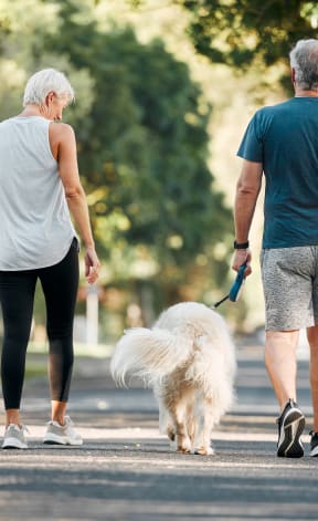 a man and woman walking a dog down a road