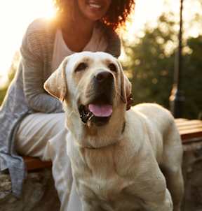 A woman is sitting on a stone wall with her dog.