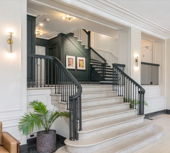 a staircase in a hotel lobby with a potted plant on the stairs