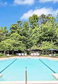 A large outdoor swimming pool surrounded by trees and lounge chairs.