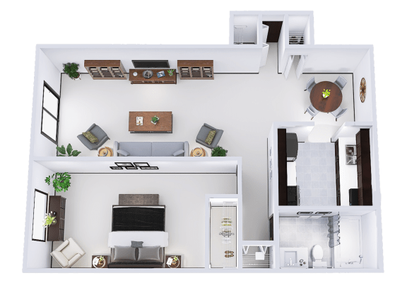 1 Bed, 1 Bath (C)