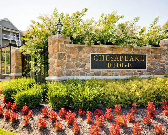 Chesapeake Ridge Signage