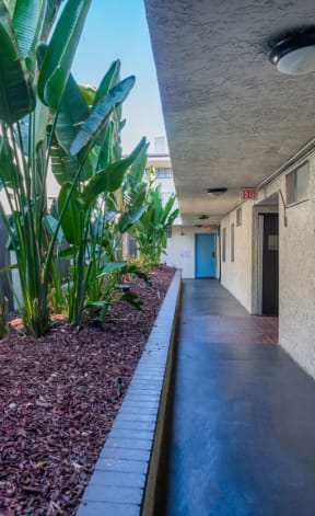 a long hallway with plants on the side of a building