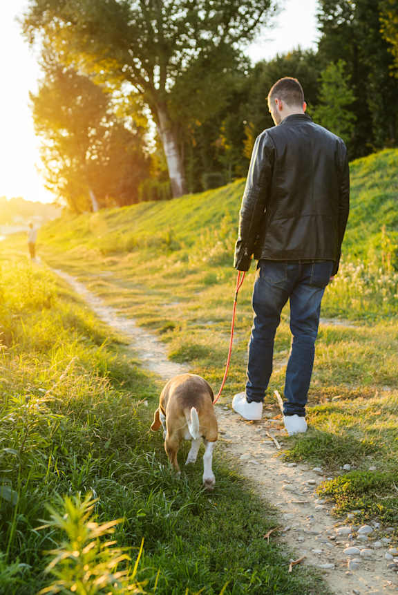 A man walking his dog on a trail in the park.