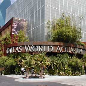 A large building with a glass facade stands behind the Dallas World Aquarium.