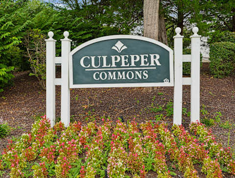 A sign that says Culpeper Commons in front of some flowers.
