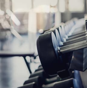 a row of gym equipment in a gym