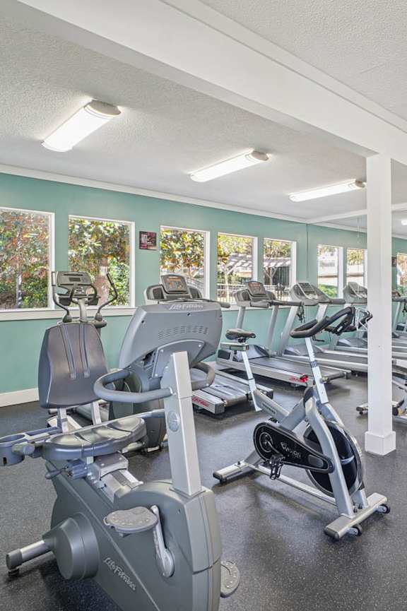 A gym with a variety of exercise equipment including treadmills, stationary bikes, and weight machines.