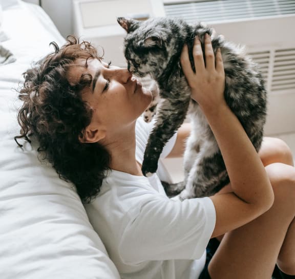 Cat Sitting on a Bed at The Timbers Apartments, Richmond, VA, 23235