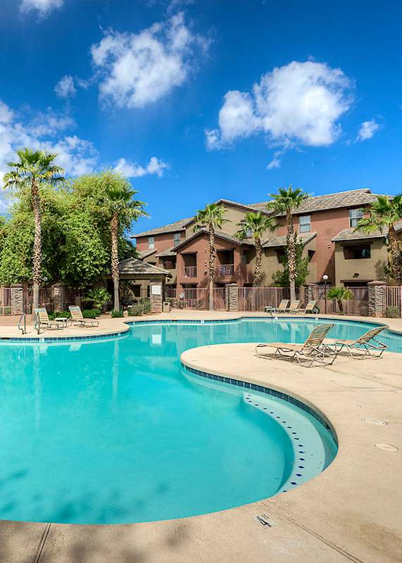 A large swimming pool surrounded by palm trees and lounge chairs.