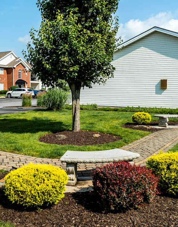 A tree in a garden with a white bench and a house in the background.