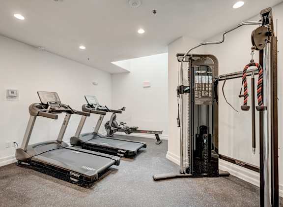 A gym with treadmills and a weight machine.