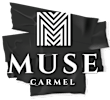 the logo of the fundraiser at Muse Carmel in Carmel, IN
