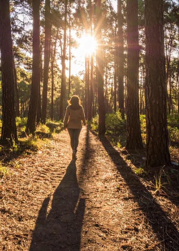 A person is walking on a dirt path in a forest with the sun shining through the trees.