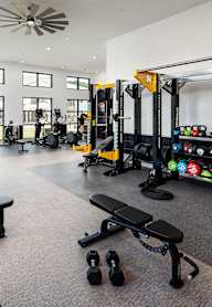 a gym with a lot of weights and other gym equipment