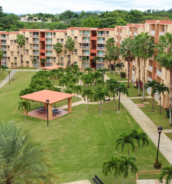an aerial view of the courtyard of an apartment building with palm trees