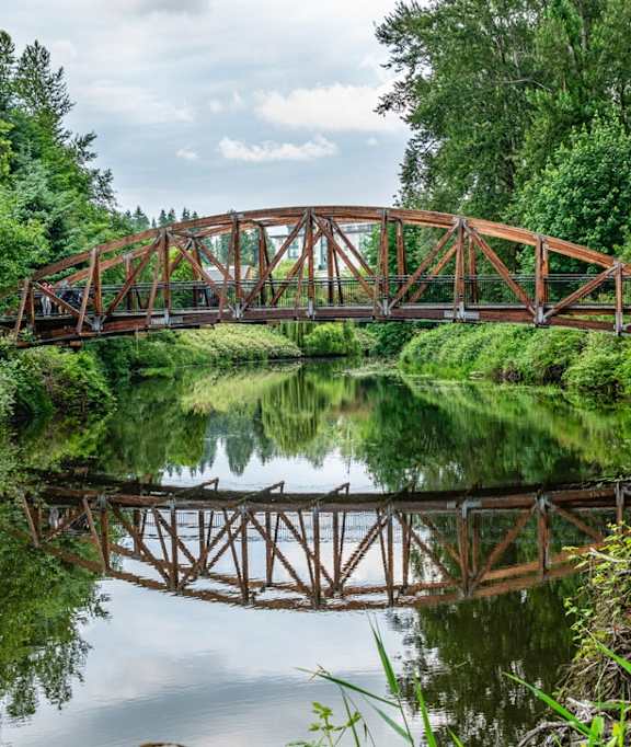 A bridge over a calm river surrounded by lush greenery.