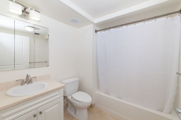 Spa-Inspired Bathrooms with Large Soaking Tub at Marion Square, Brookline, 02446