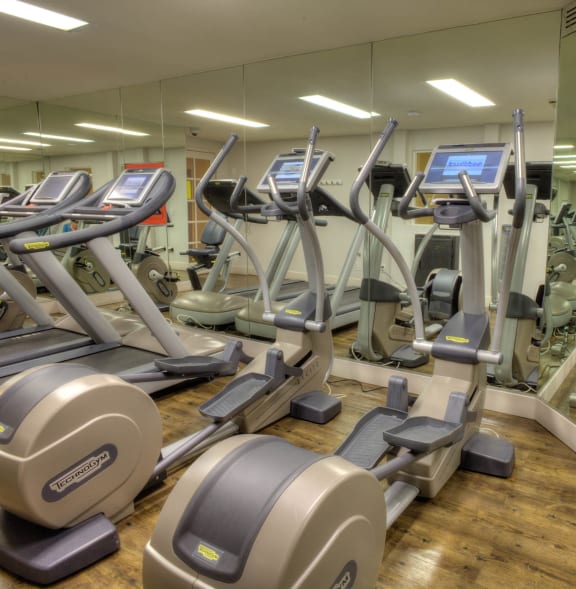 a room full of cardio machines in a gym  at Sunset Barrington Gardens, California, 90049
