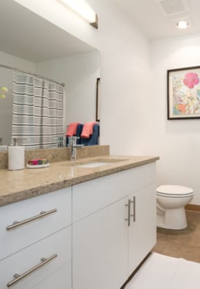 Junction Flats and Landing Model Bathroom