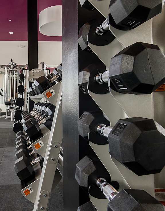 Fitness Center with Free Weights at Parc West Apartments, Draper, UT