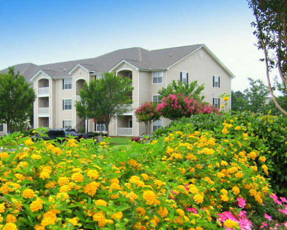 Photo Gallery Image