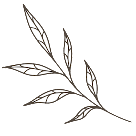 Leaf branch graphic on a white background.