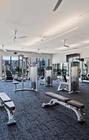 A gym with a variety of equipment including weights and benches.