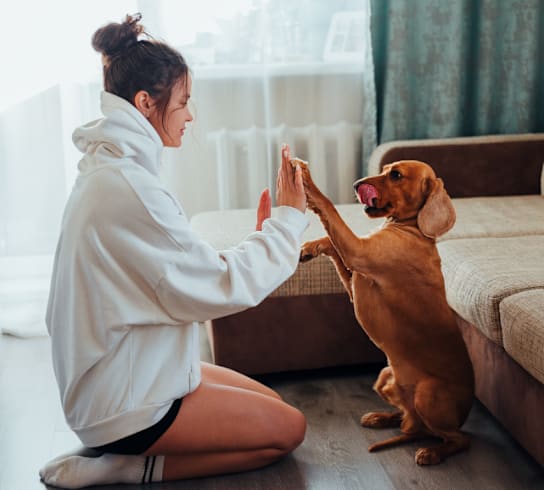 a woman kneels on the floor while playing with her dog