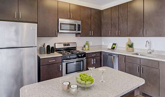 kitchen with stainless steel appliances