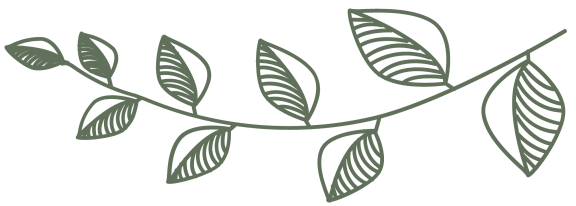 a branch of a plant with leaves on a white background