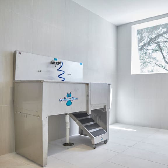 Dog Washing Station at Addison Medical Center Apartments, Texas, 78229