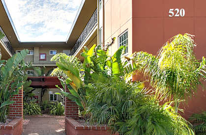 Beautiful plants at 520 E Bellevue, San Mateo, 94401